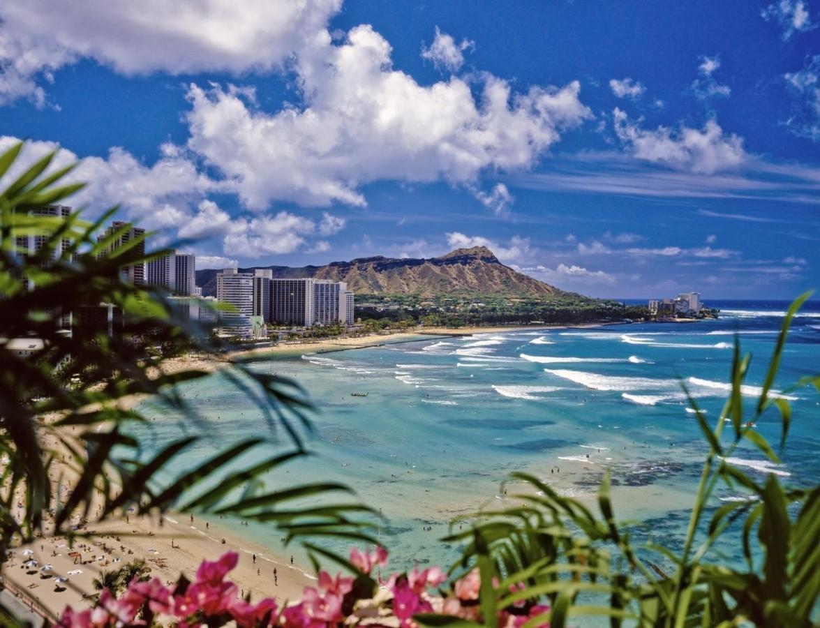 Kuhio Village 806 호놀룰루 외부 사진